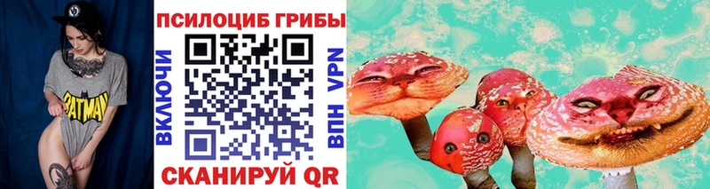 darknet телеграм Домодедово Псилоцибиновые грибы мухоморы где купить гидра как зайти