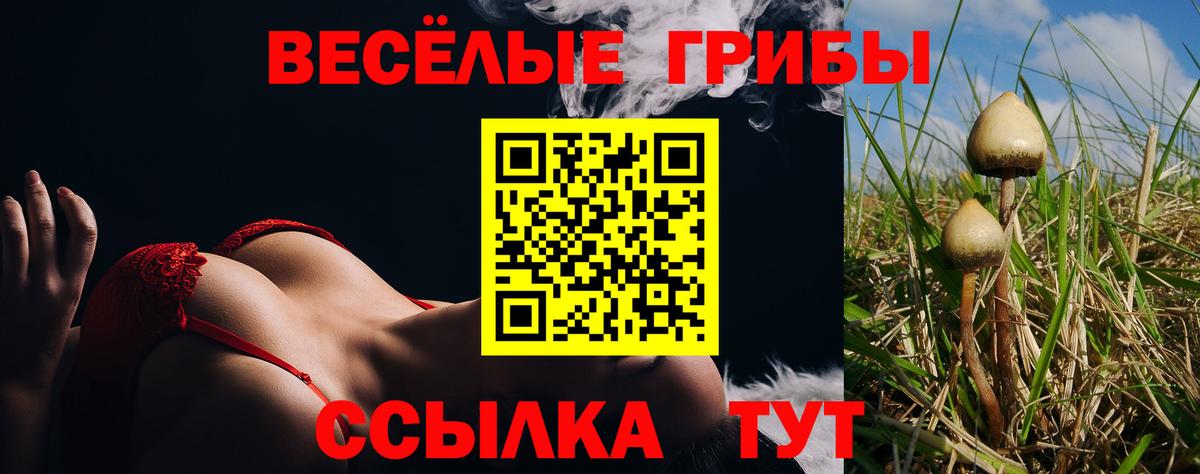 Домодедово  Галлюциногенные грибы Cubensis  Галлюциногенные грибы GOLDEN TEACHER  Вход с VPN 