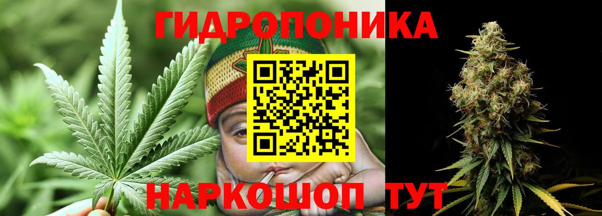 Каннабис индика Домодедово
