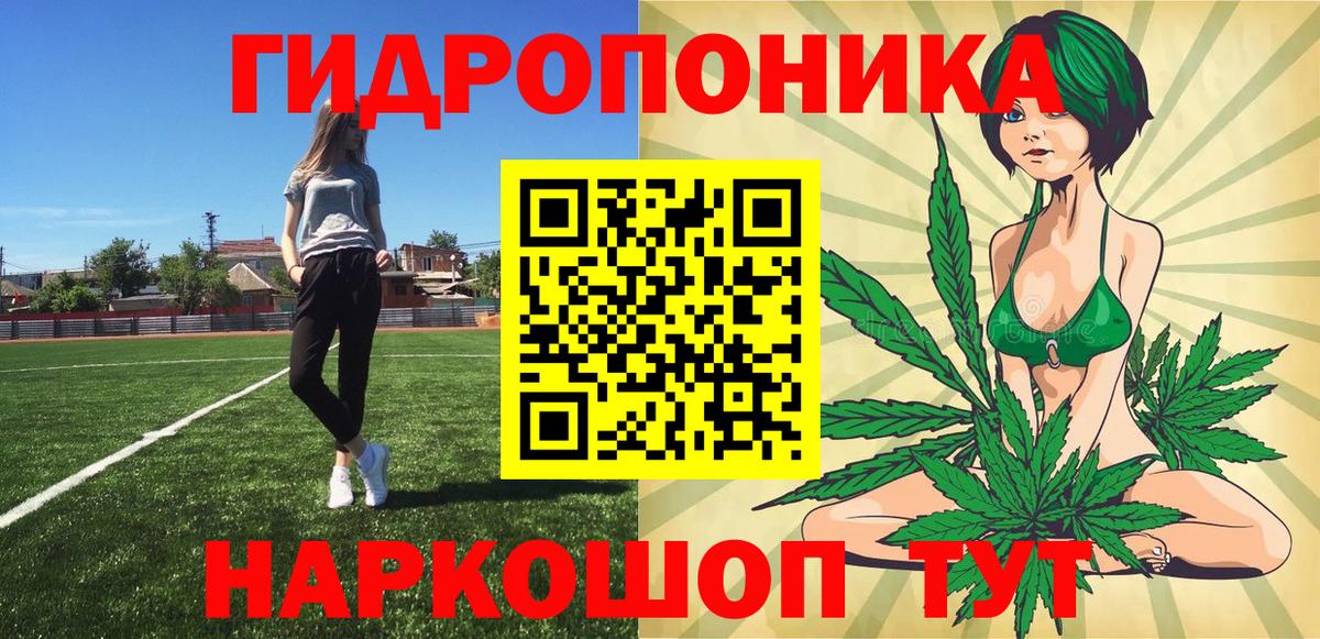 Конопля VHQ  Шишки марихуана план  Домодедово  Шишки марихуана сатива  Вход с VPN 